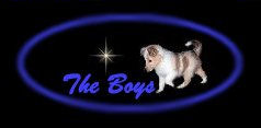 The Boys