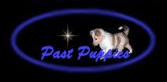 Past Puppies